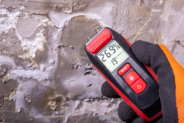 Attic Mold Removal in Matawan, NJ