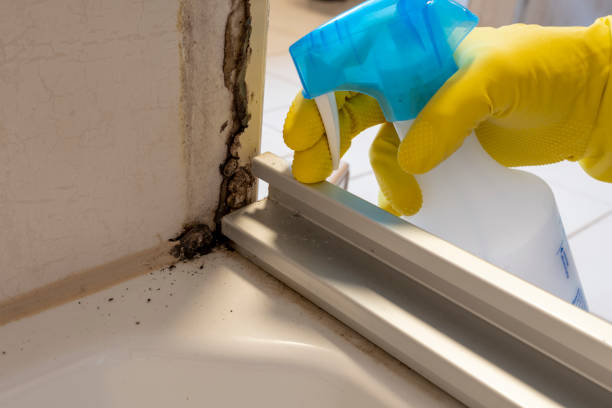 Water Damage Restoration in Matawan, NJ