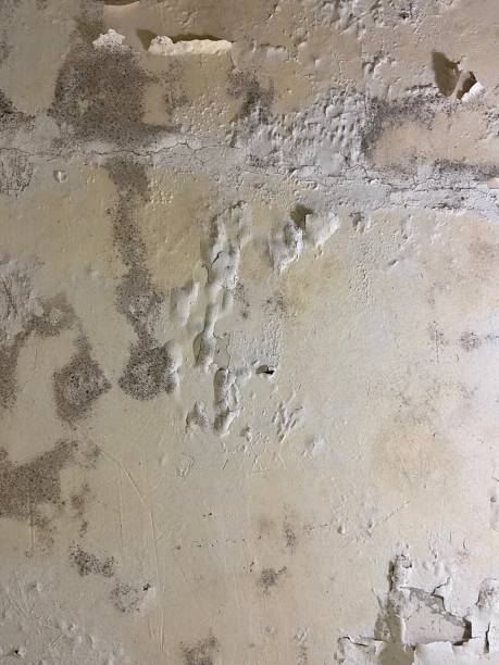Best Emergency Mold Removal  in Matawan, NJ