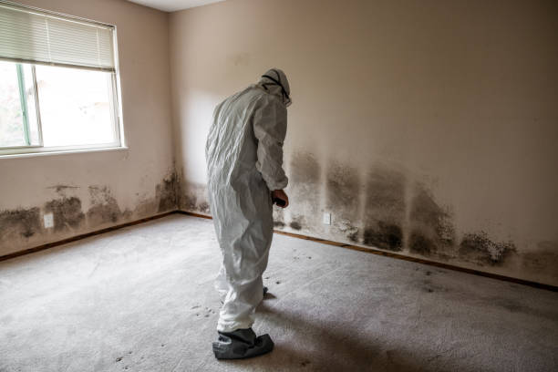 Best Crawl Space Mold Removal  in Matawan, NJ